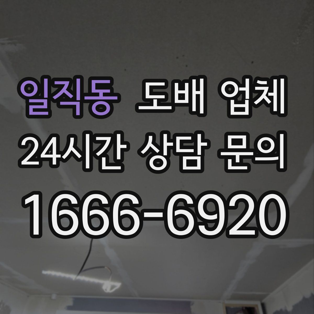 일직동 도배 업체