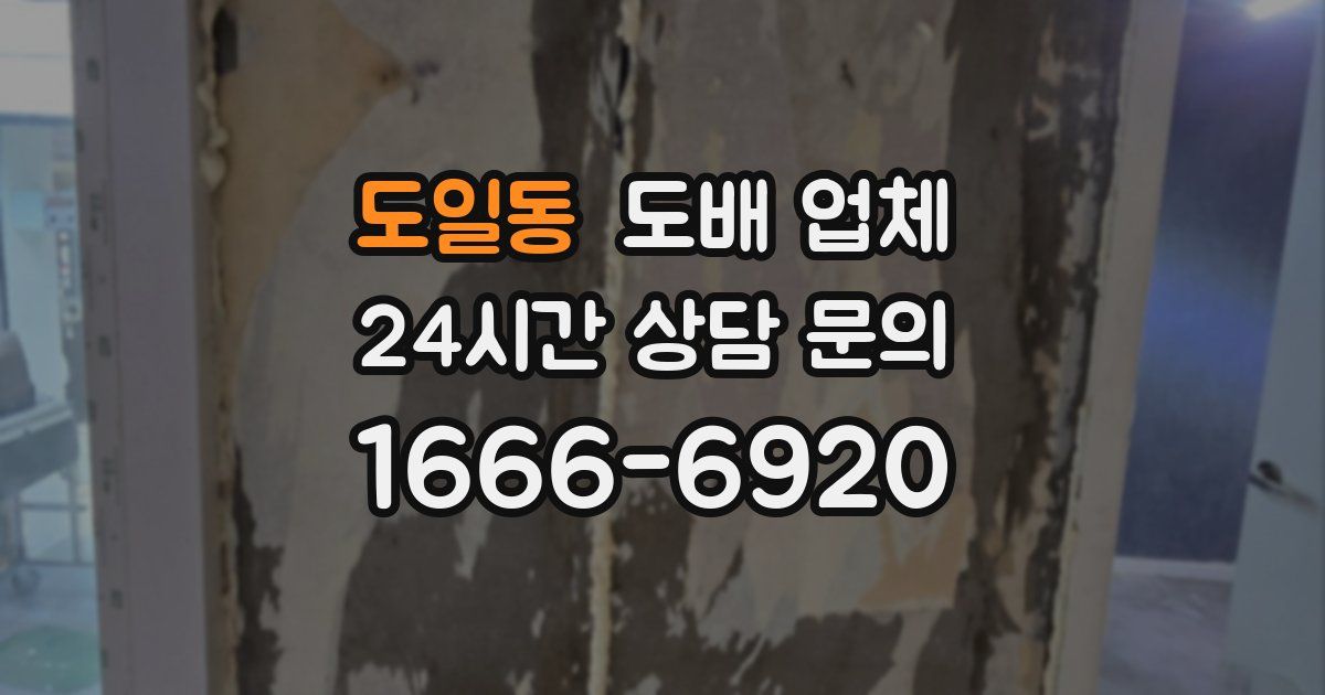 도일동 도배 업체
