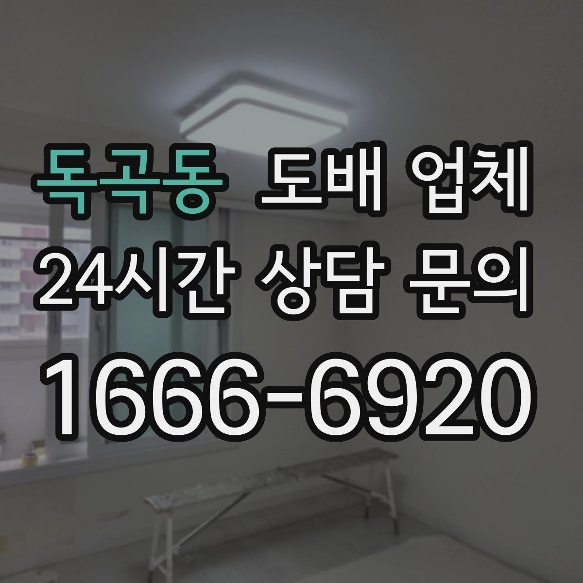 독곡동 도배 업체