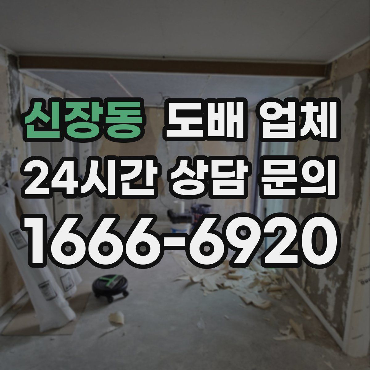신장동 도배 업체
