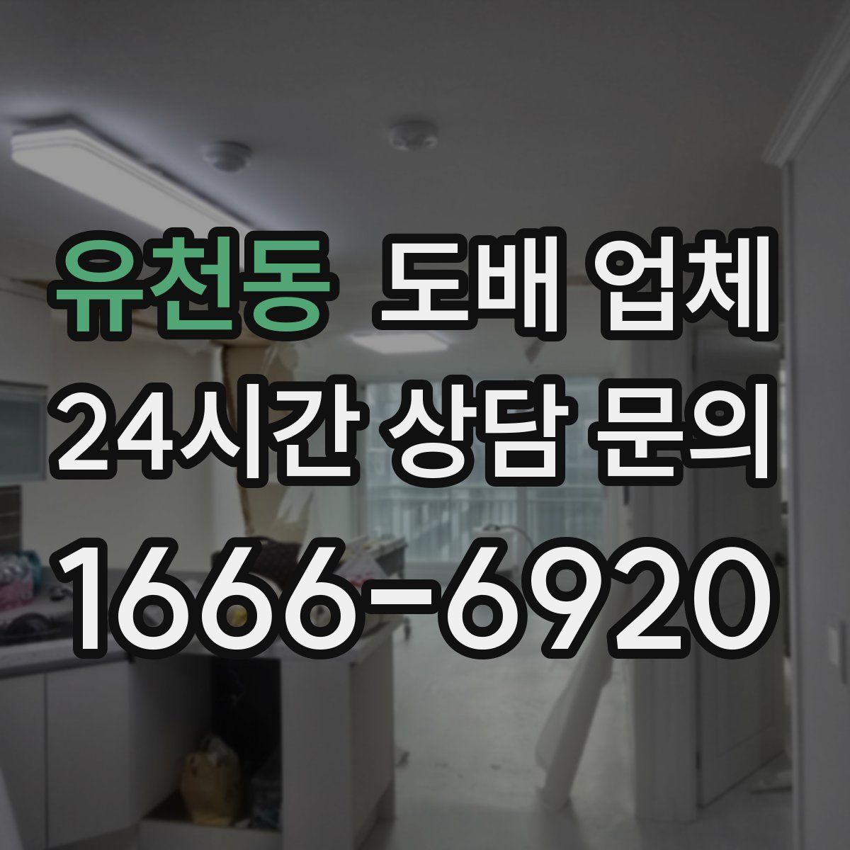 유천동 도배 업체