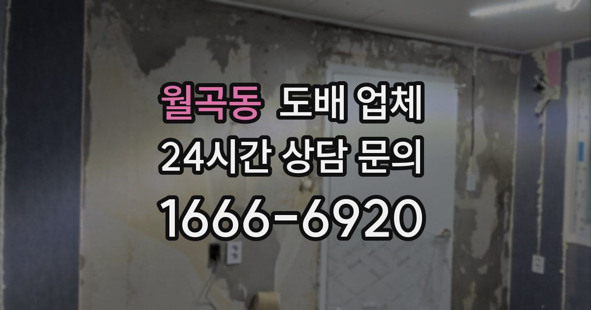월곡동 도배 업체