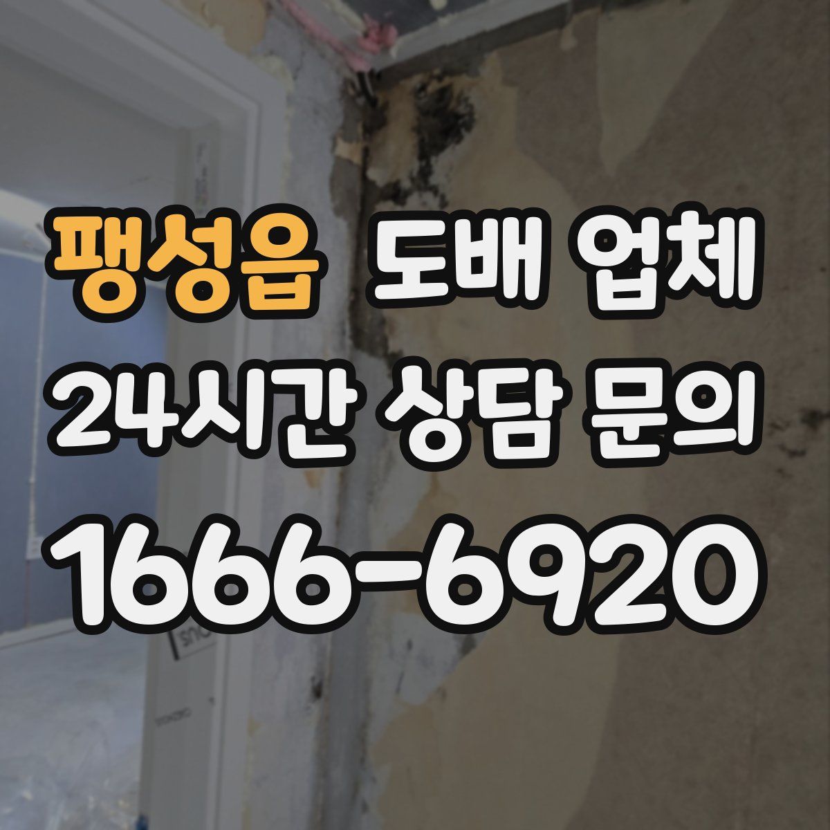 팽성읍 도배 업체