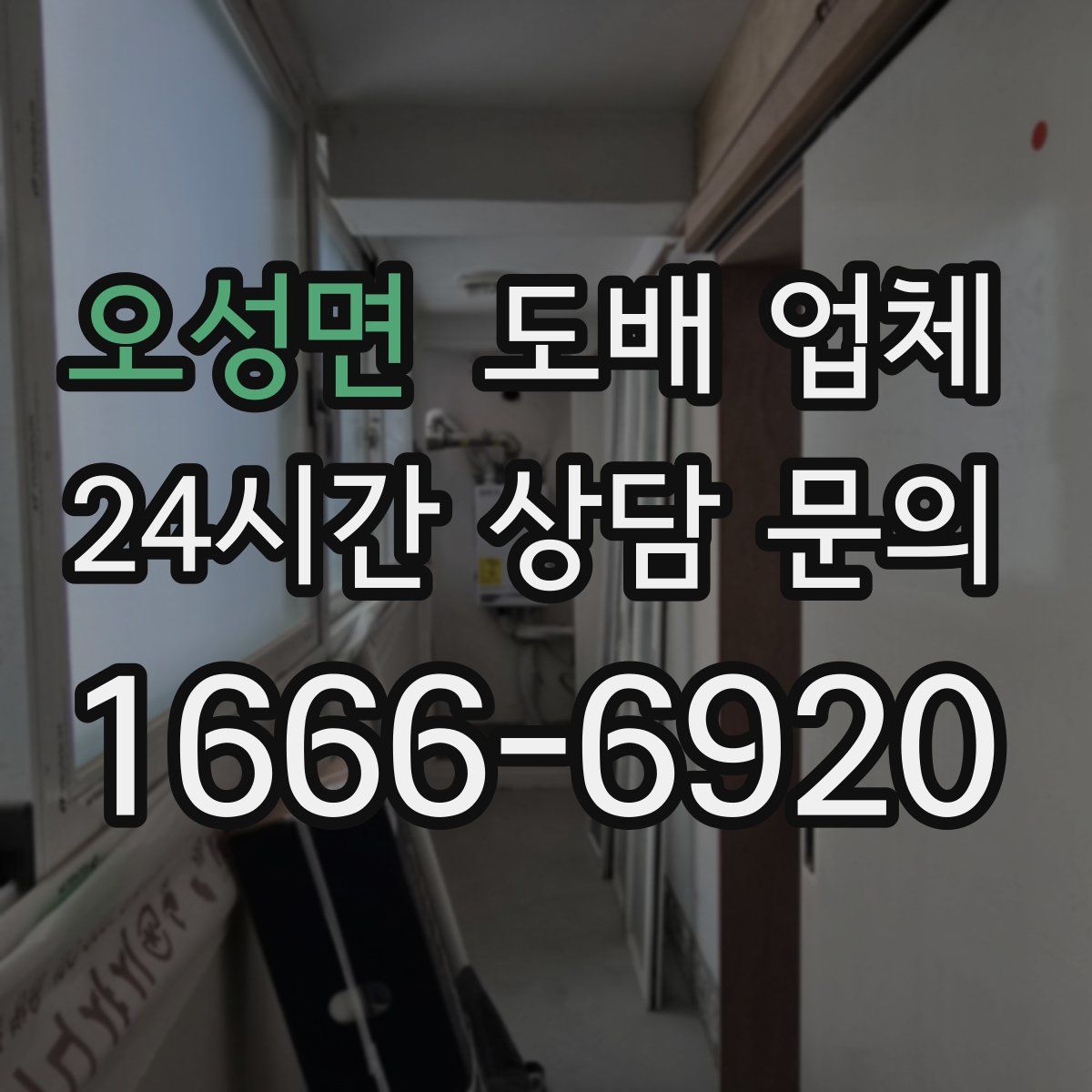 오성면 도배 업체