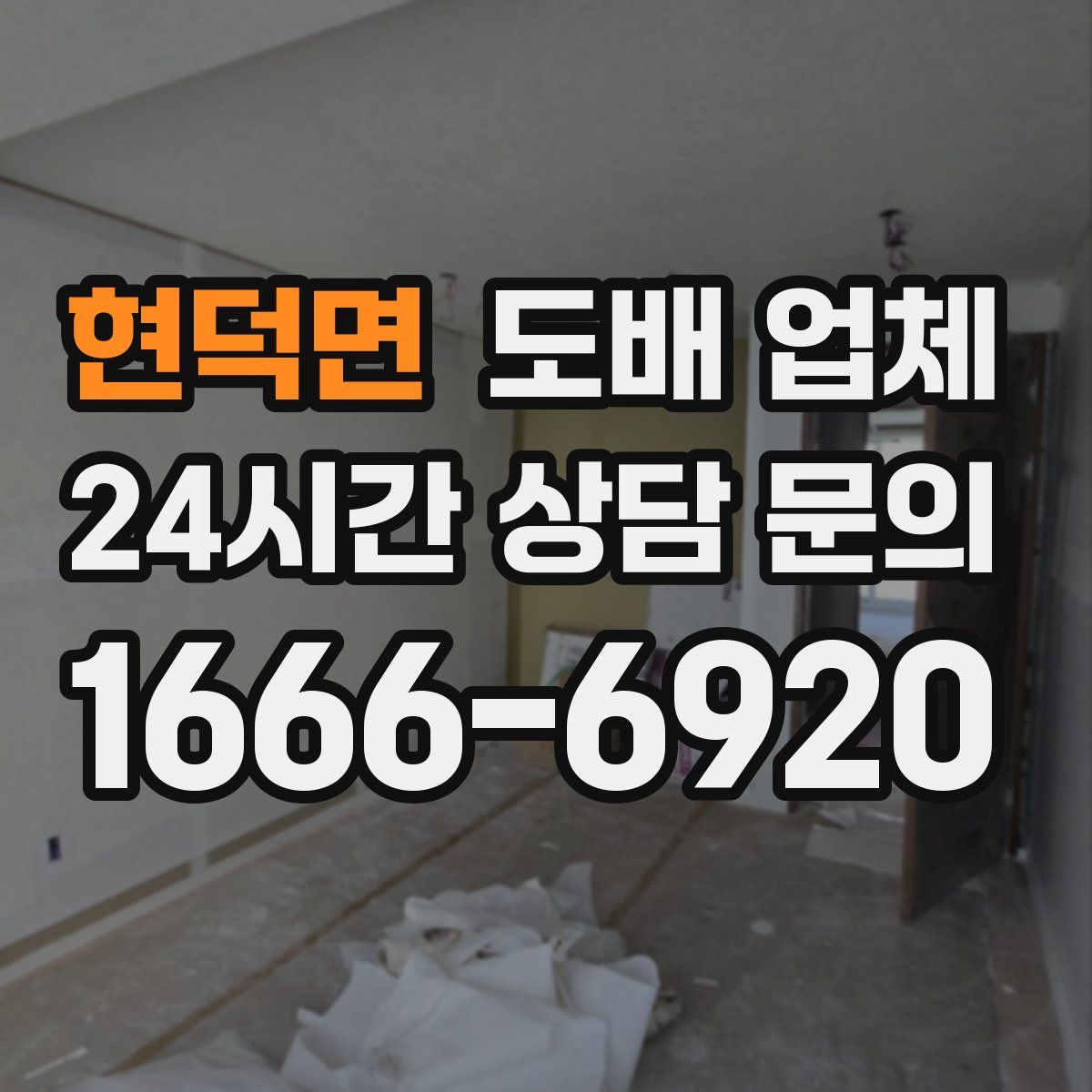 현덕면 도배 업체
