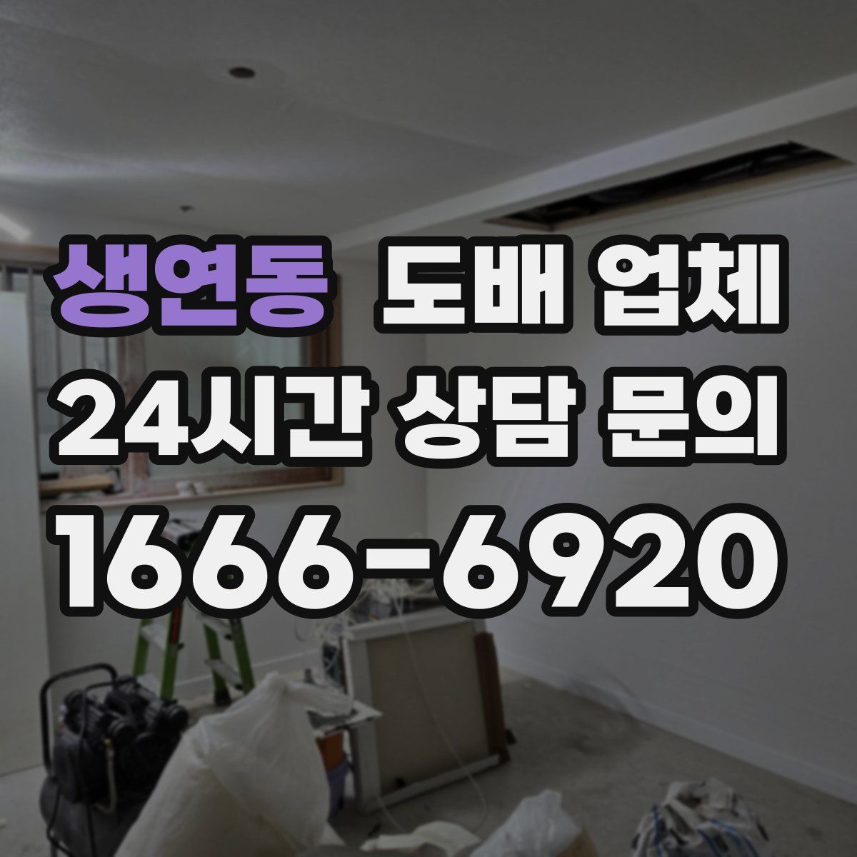 생연동 도배 업체