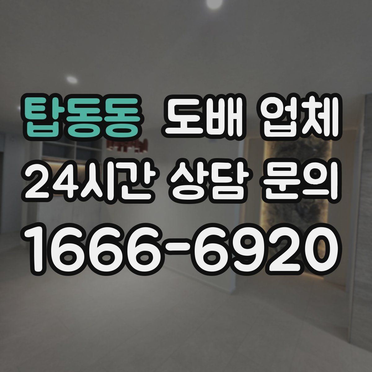 탑동동 도배 업체 도배 전 곰팡이 확인이 필요한 이유