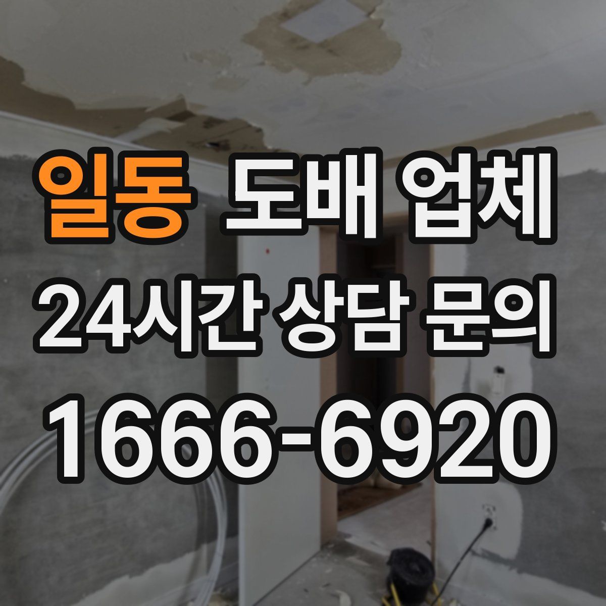 일동 도배 업체