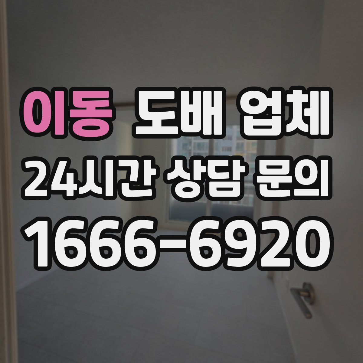 이동 도배 업체