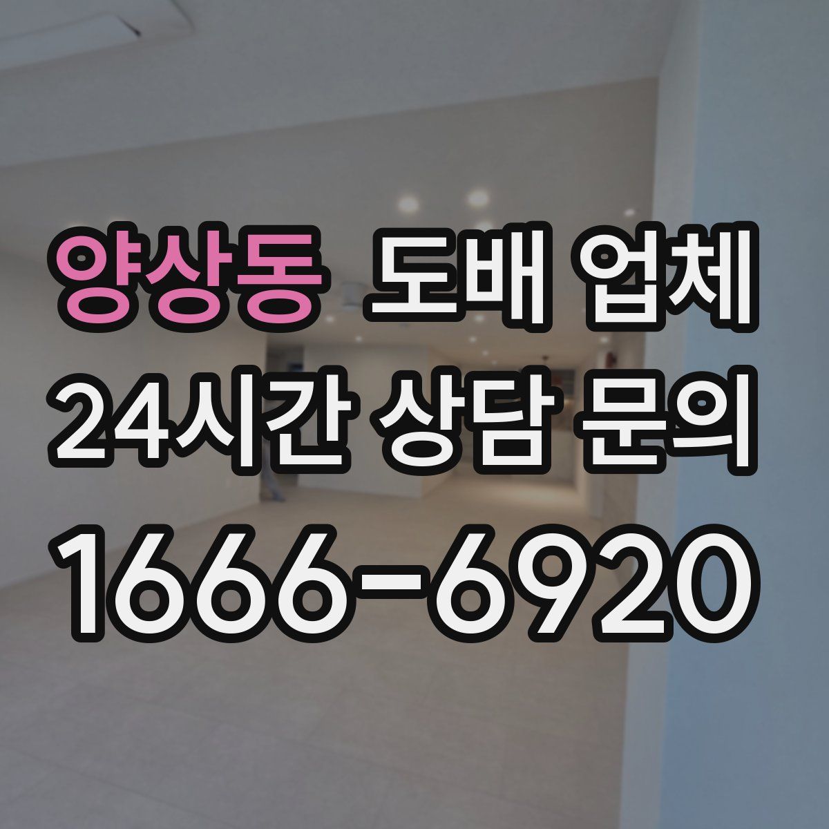 양상동 도배 업체