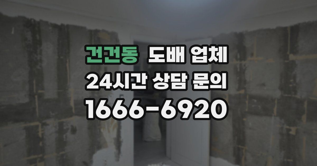 건건동 도배 업체
