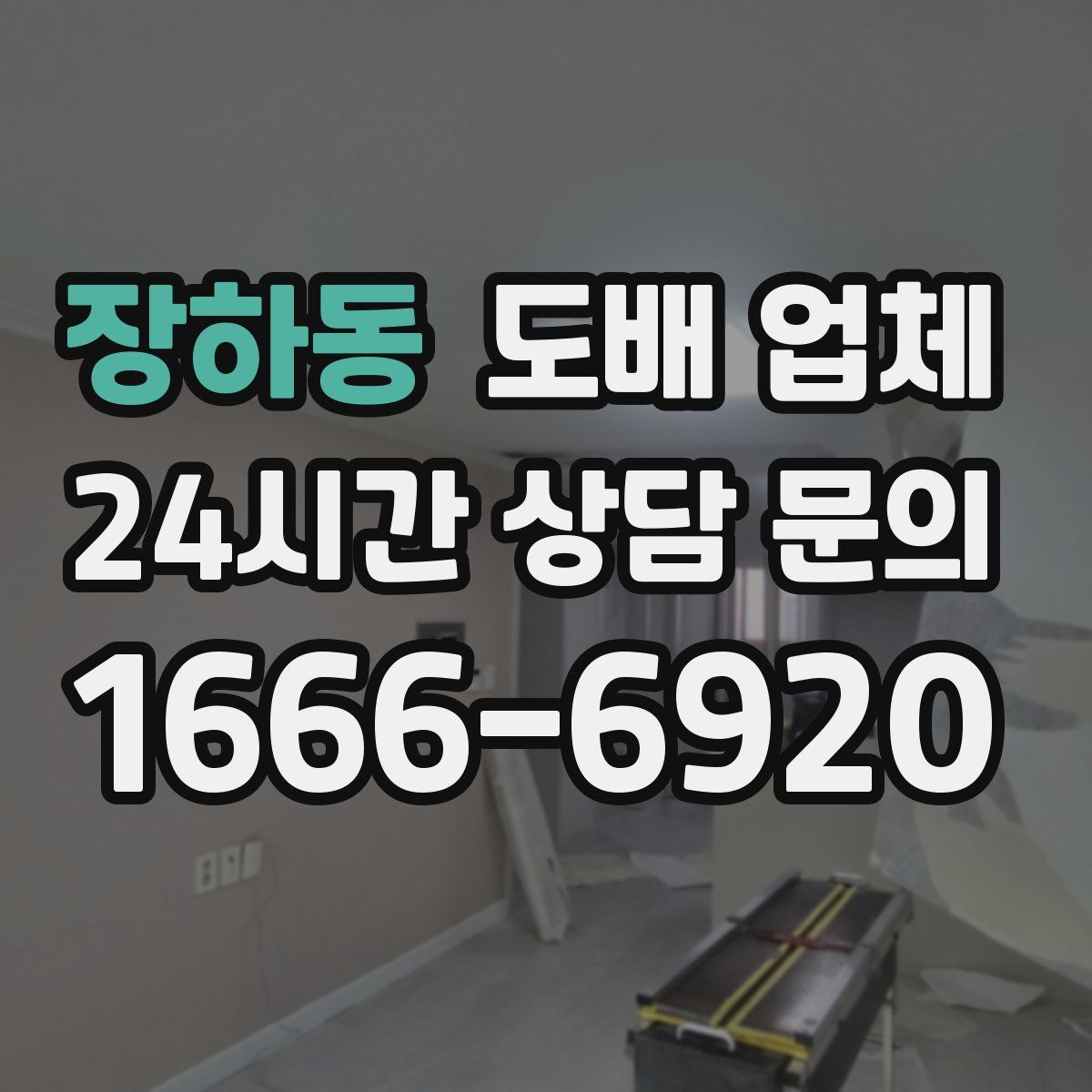 장하동 도배 업체