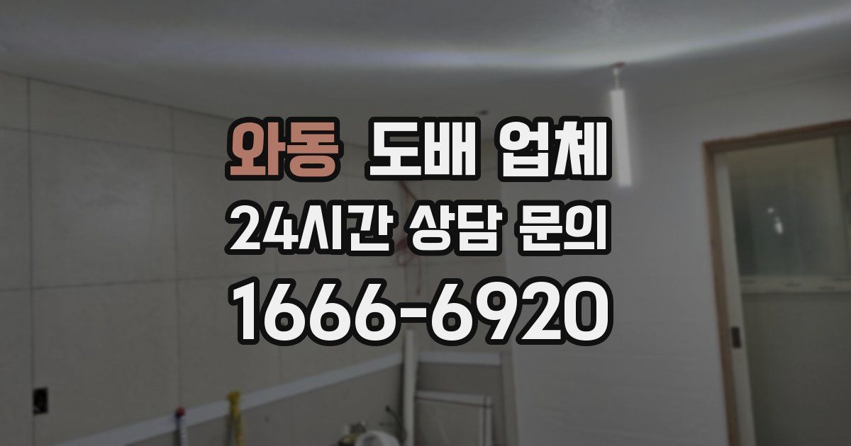 와동 도배 업체
