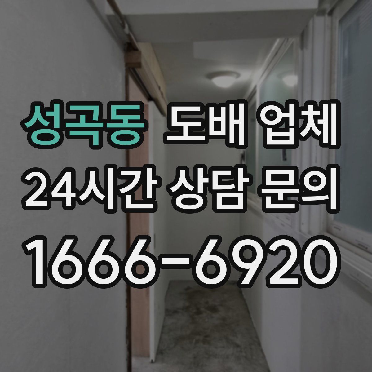 성곡동 도배 업체