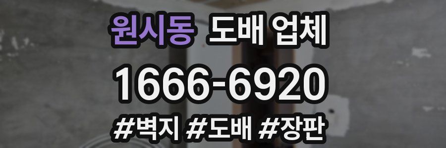 원시동 도배 업체