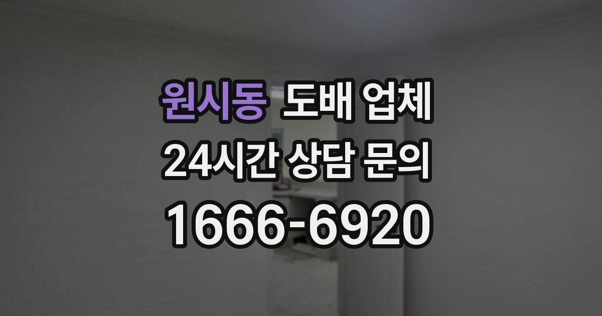 원시동 도배 업체