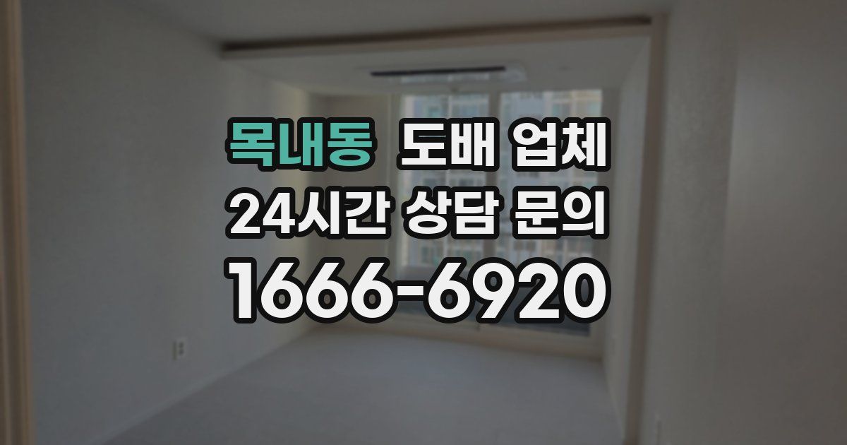 목내동 도배 업체
