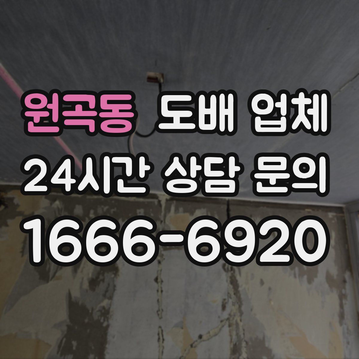 원곡동 도배 업체