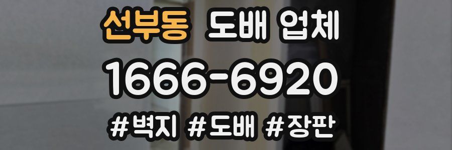 선부동 도배 업체