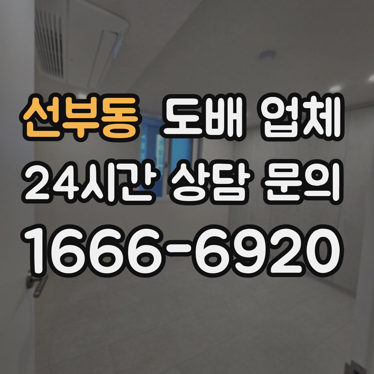 선부동 도배 업체