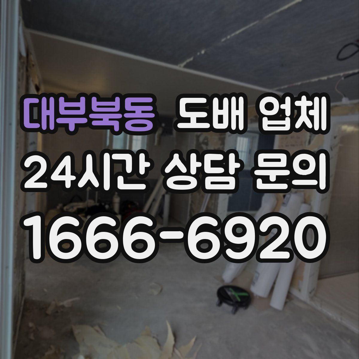 대부북동 도배 업체