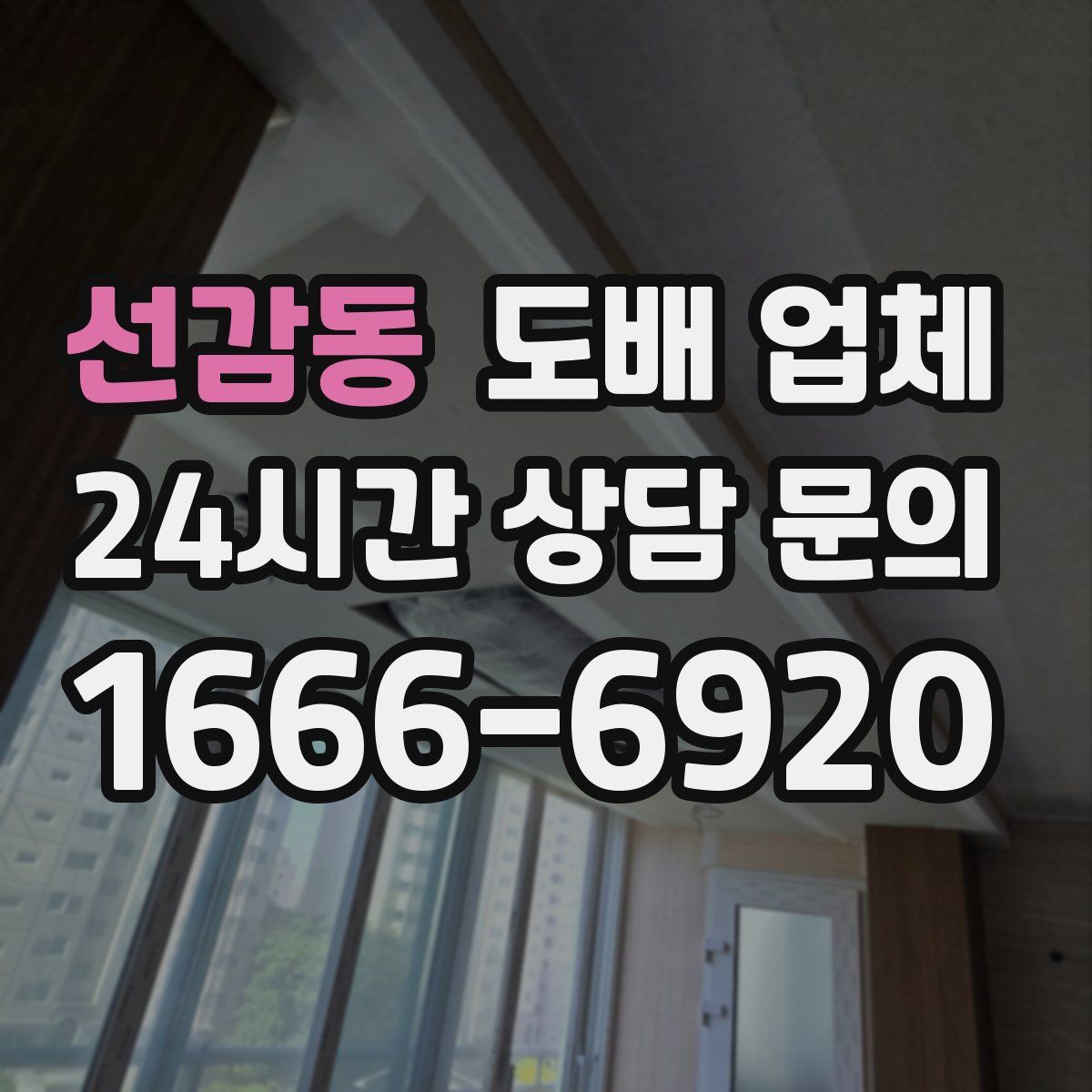 선감동 도배 업체