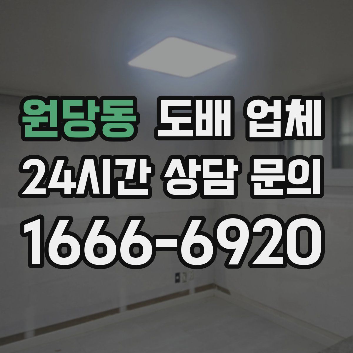 원당동 도배 업체