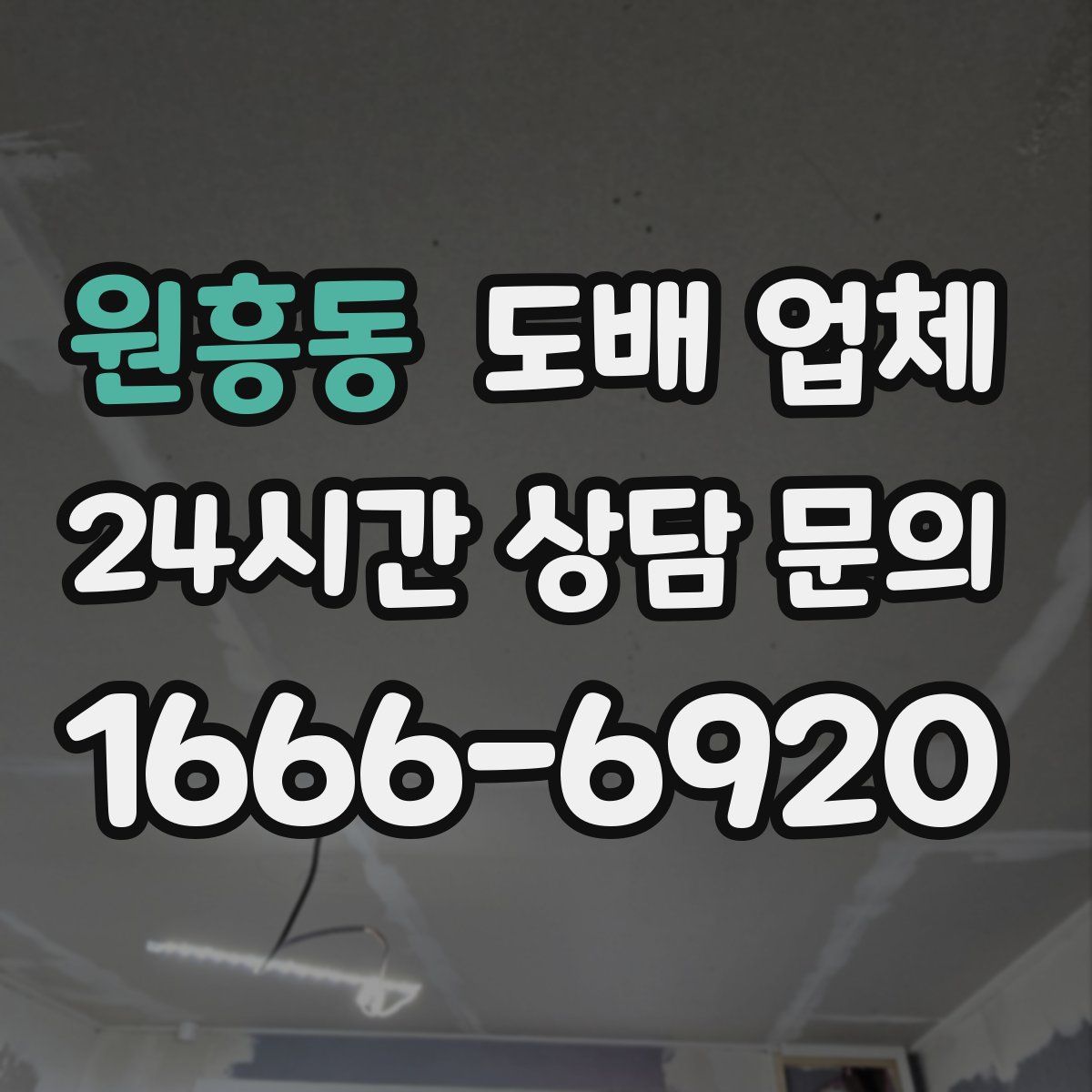 원흥동 도배 업체