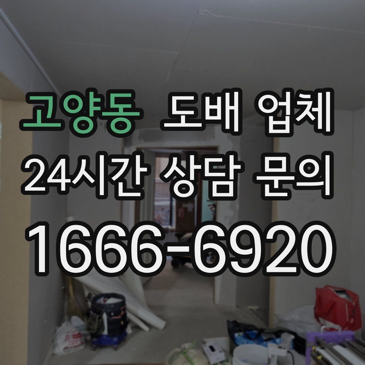 고양동 도배 업체