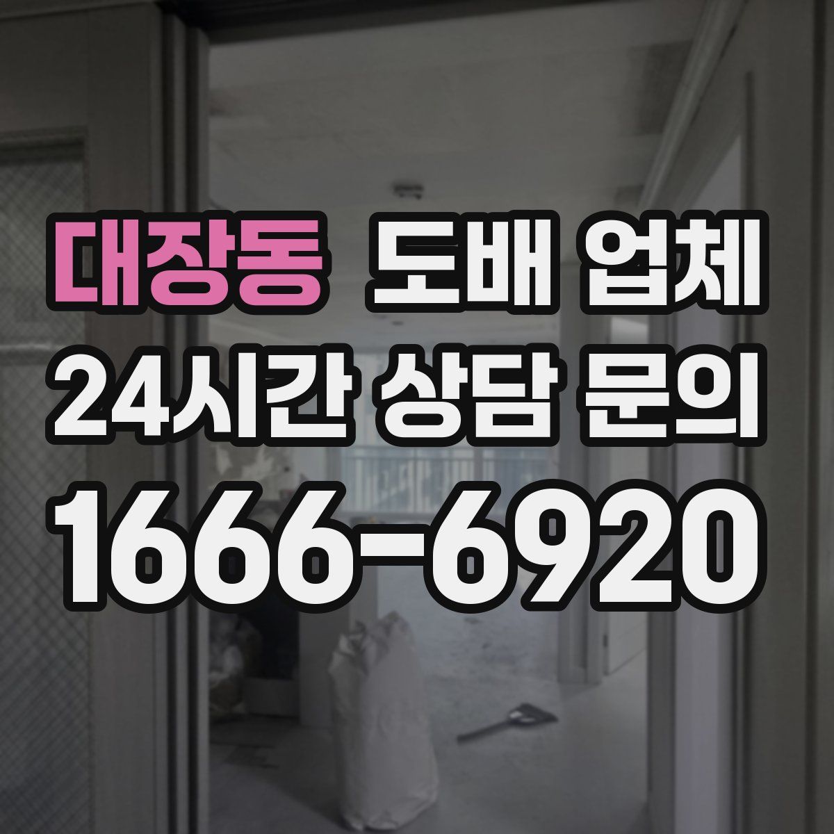 대장동 도배 업체