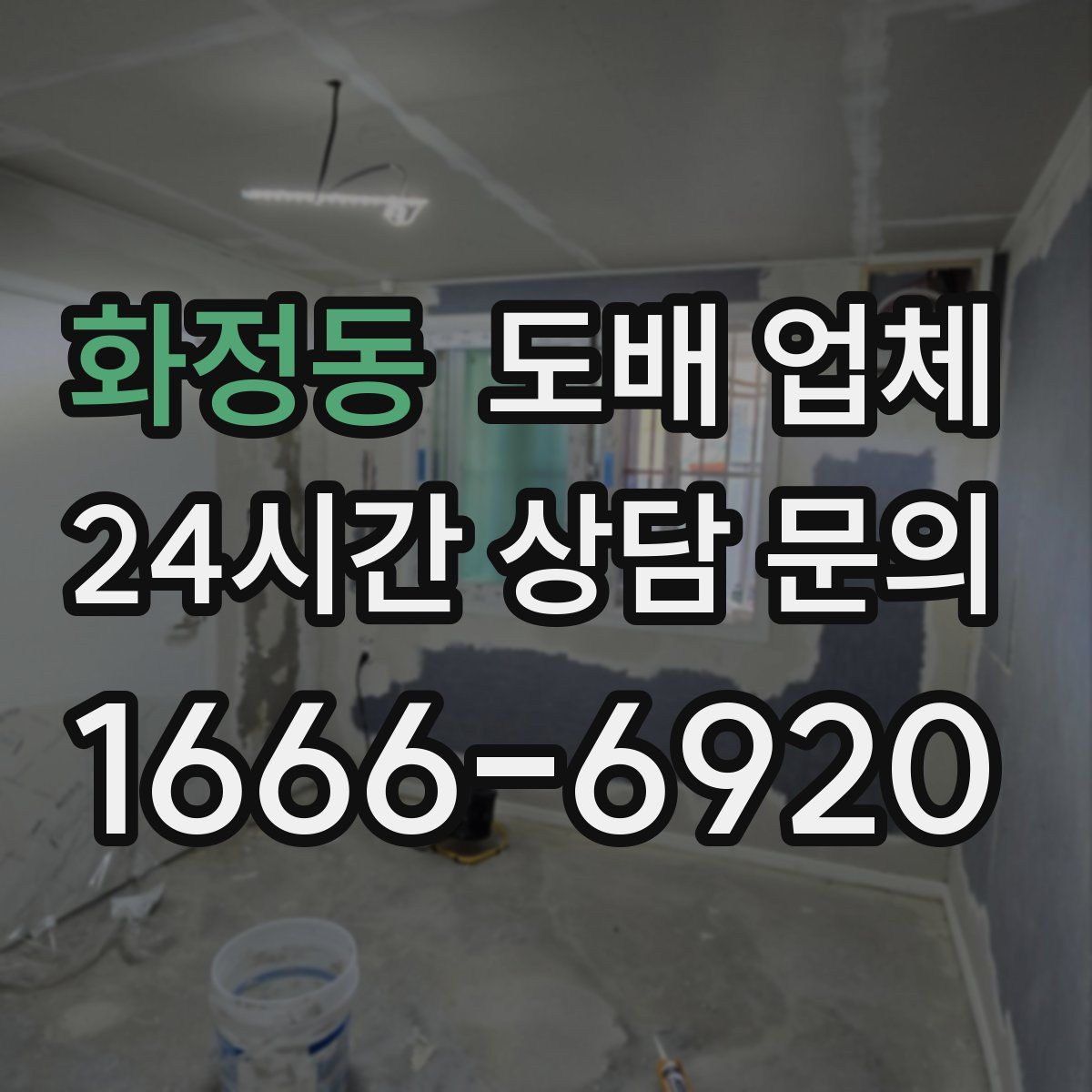 화정동 도배 업체