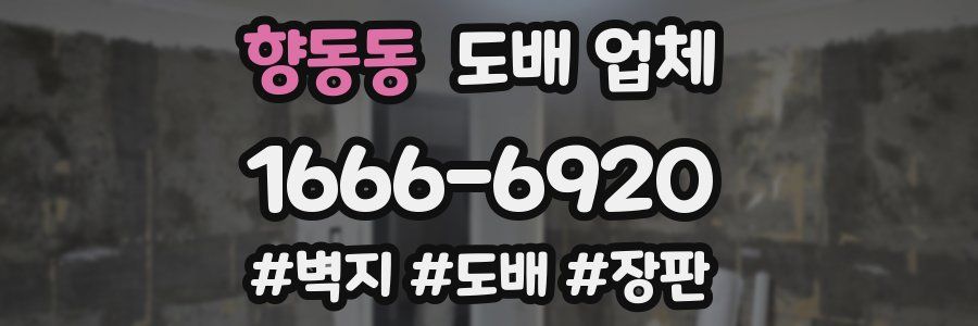 향동동 도배 업체
