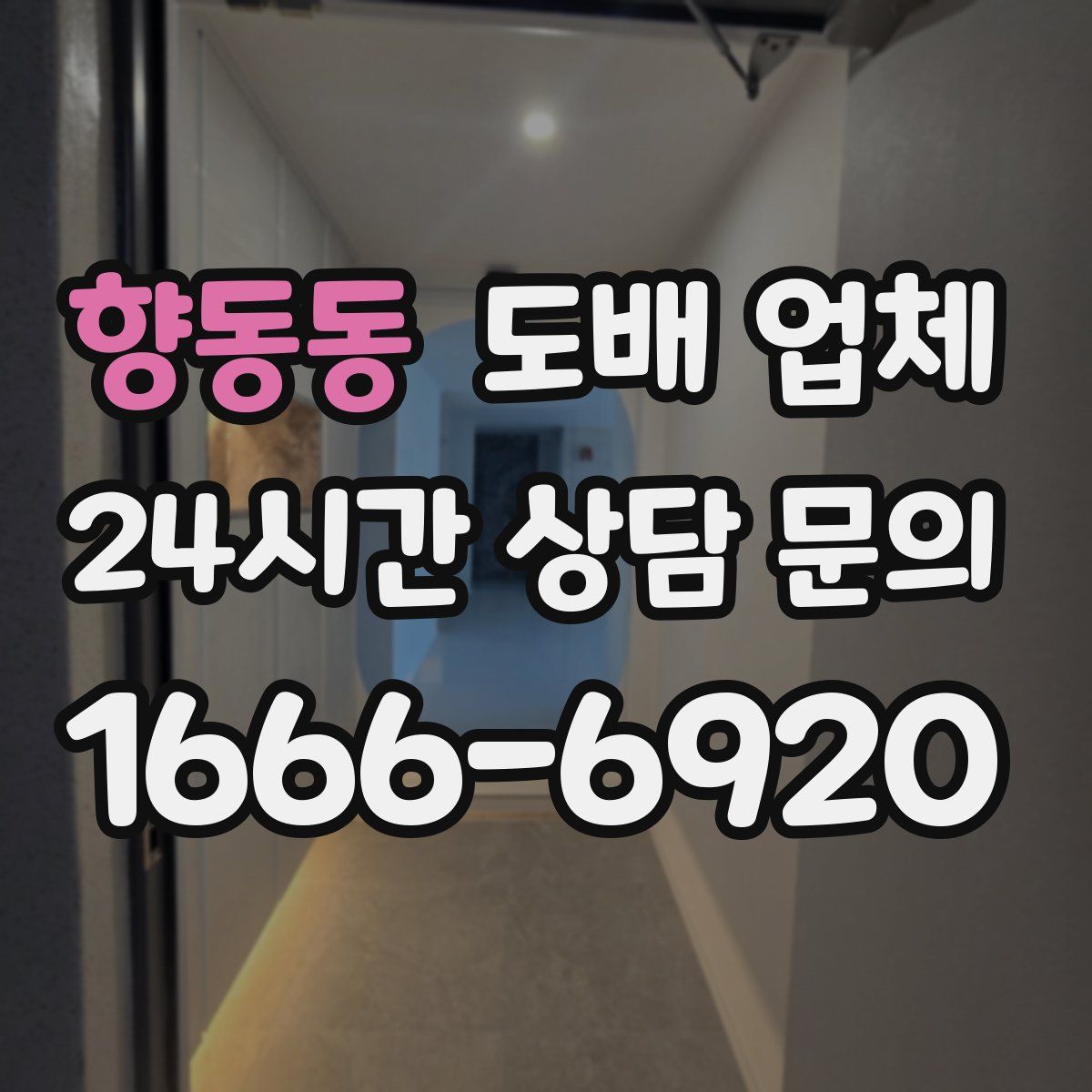 향동동 도배 업체