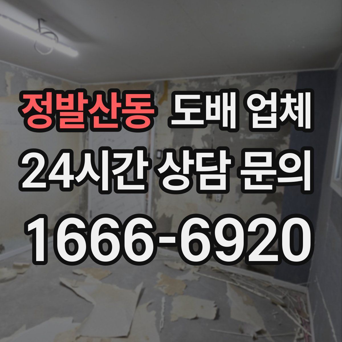 정발산동 도배 업체