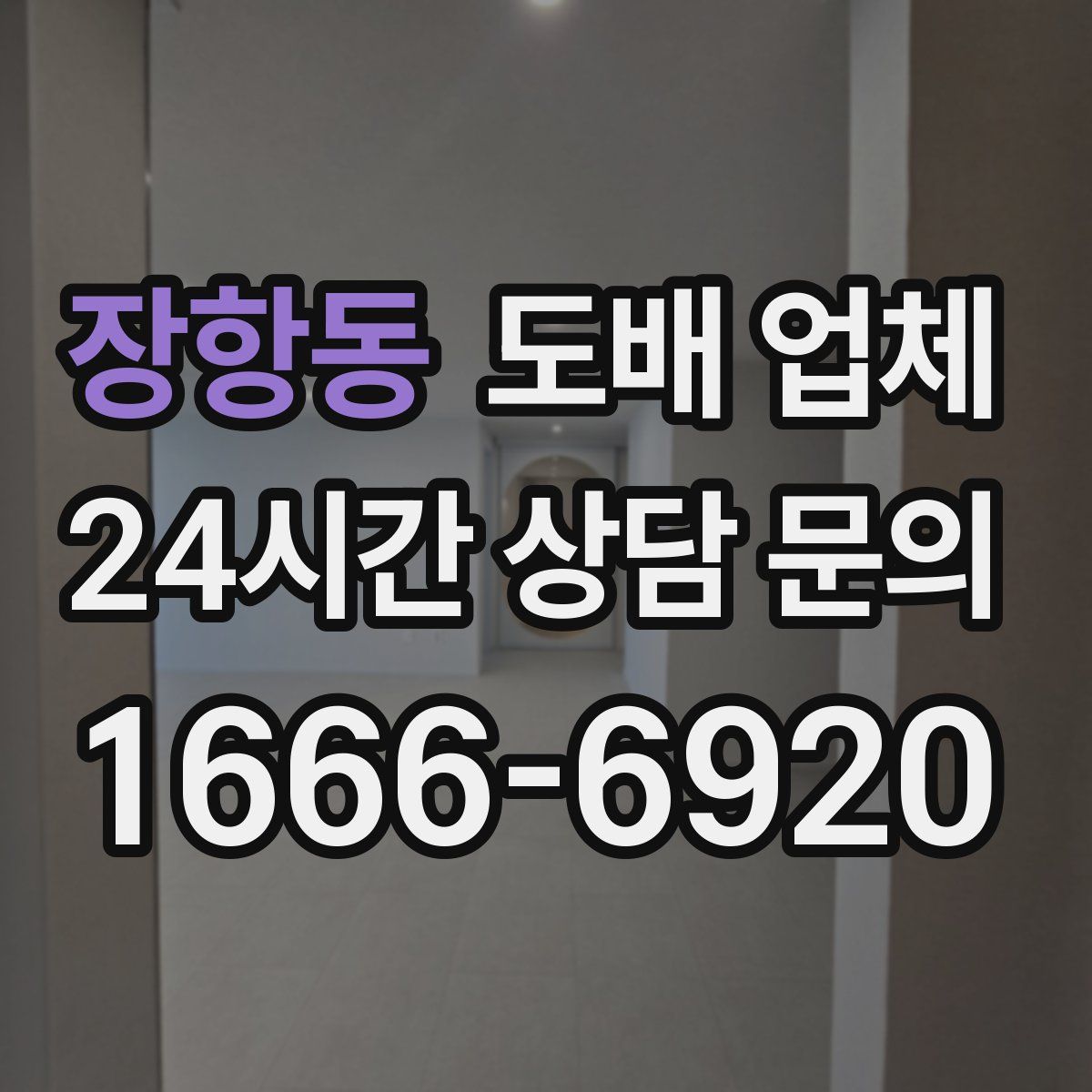 장항동 도배 업체