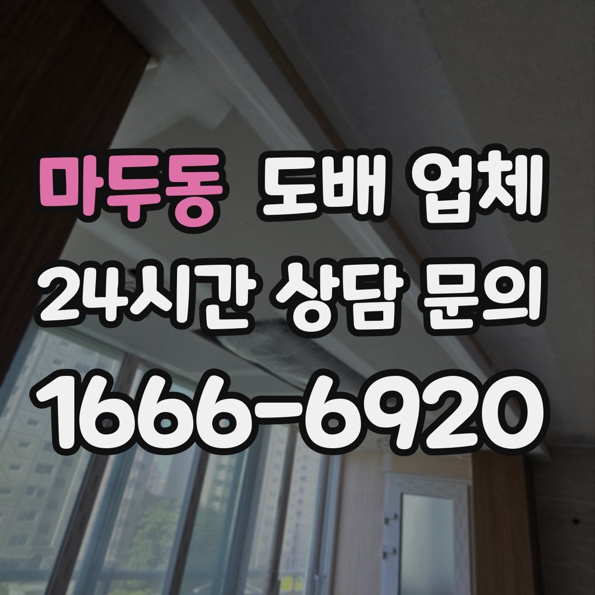 마두동 도배 업체