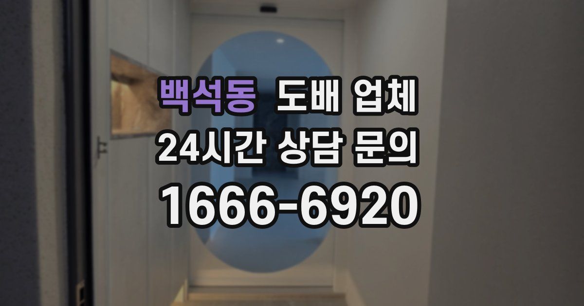 백석동 도배 업체