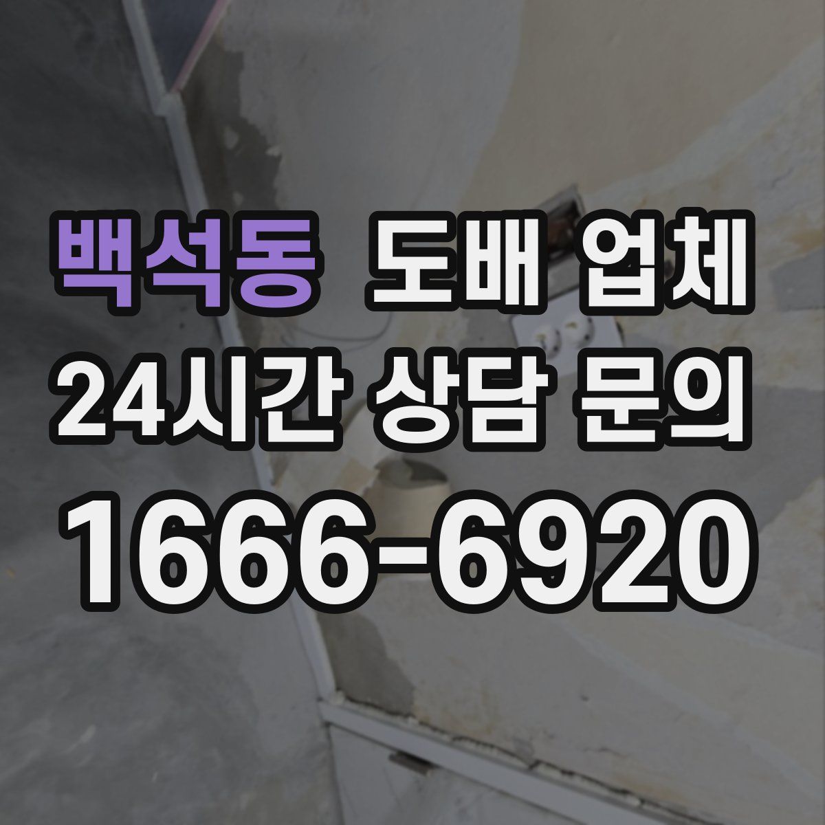 백석동 도배 업체