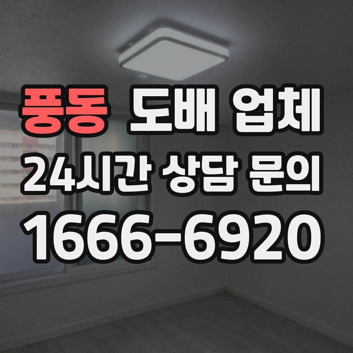 풍동 도배 업체