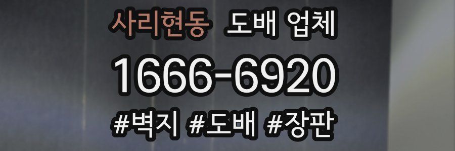사리현동 도배 업체