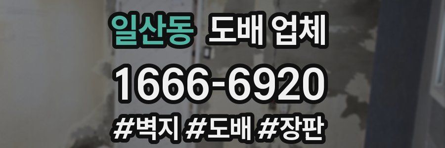 일산동 도배 업체
