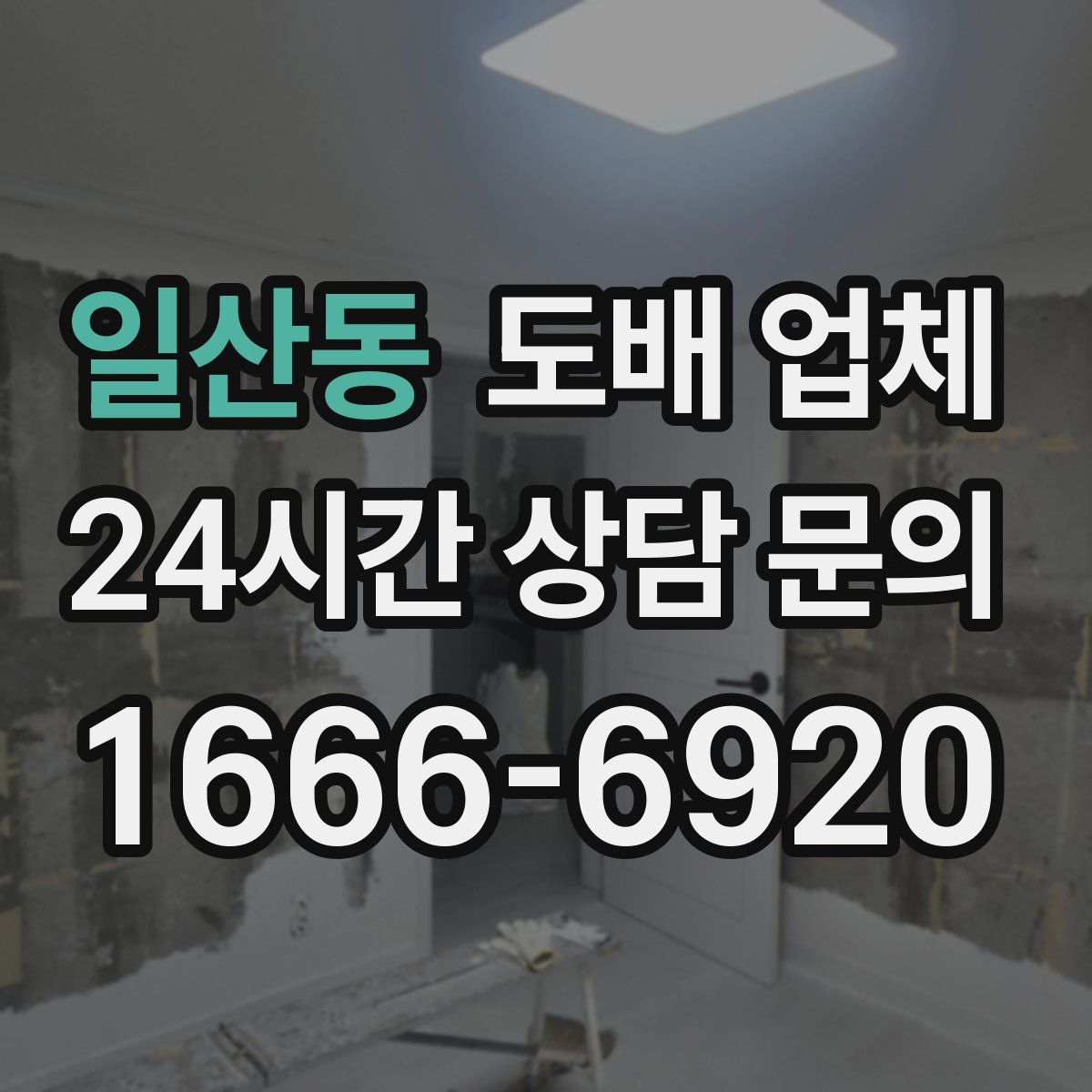 일산동 도배 업체