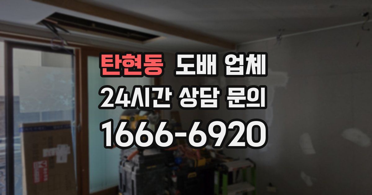 탄현동 도배 업체