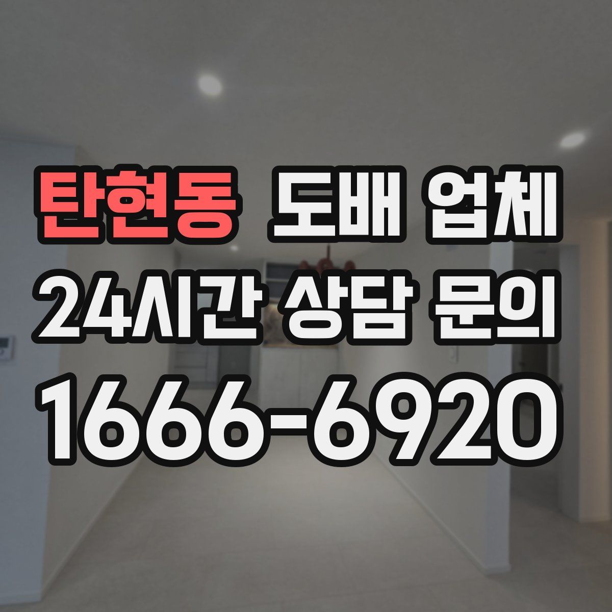 탄현동 도배 업체