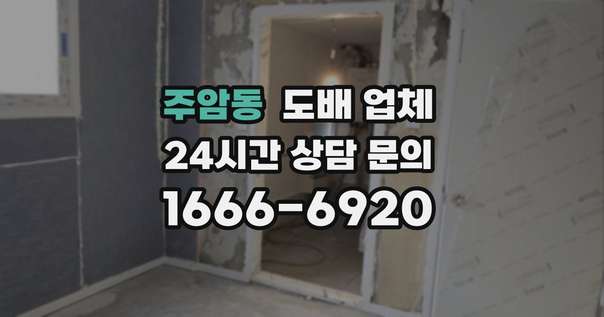 주암동 도배 업체