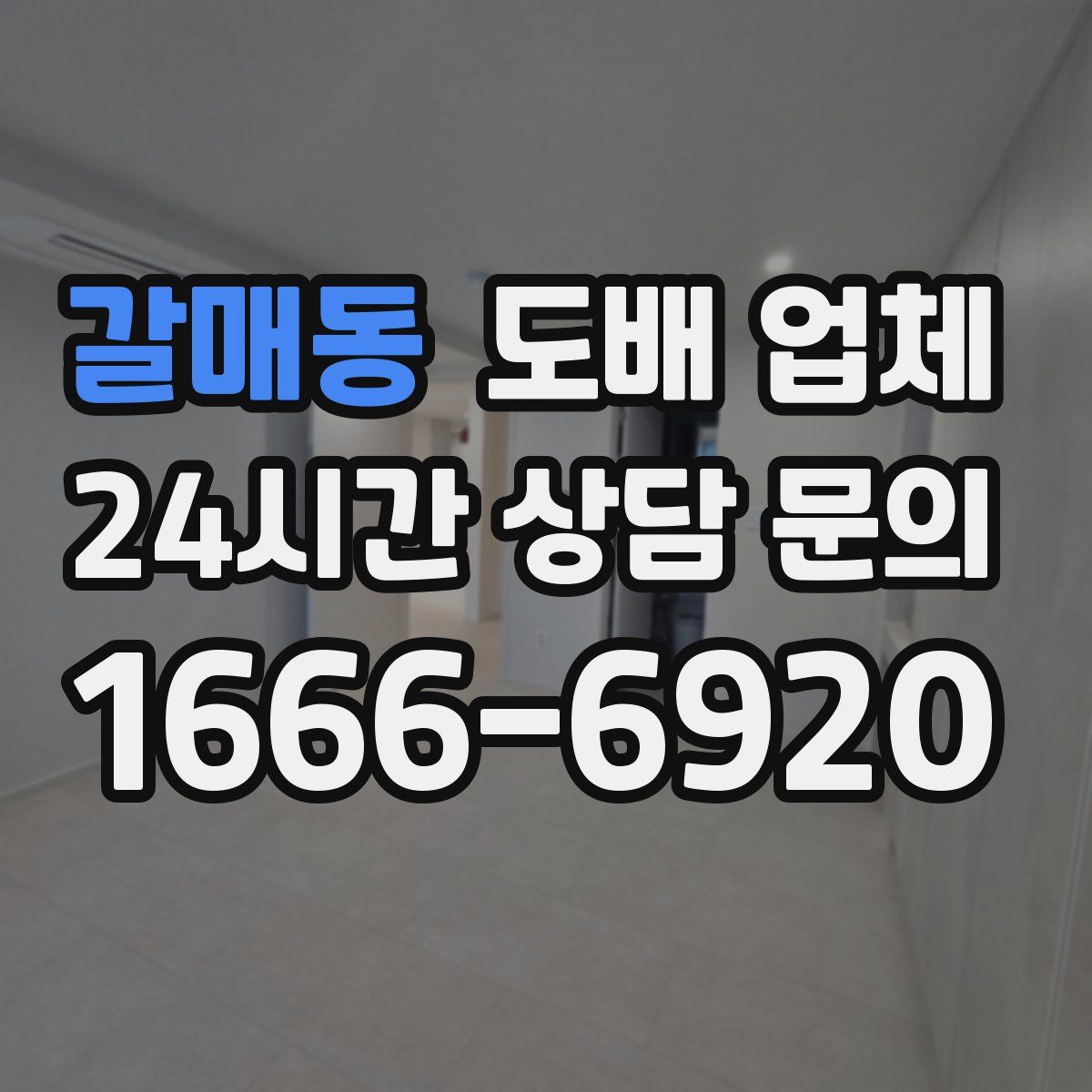 갈매동 도배 업체