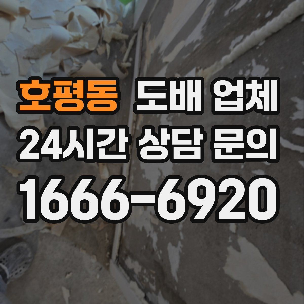호평동 도배 업체 현장 상황에 맞는 견적 받기