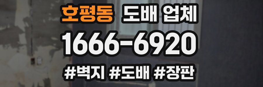 호평동 도배 업체