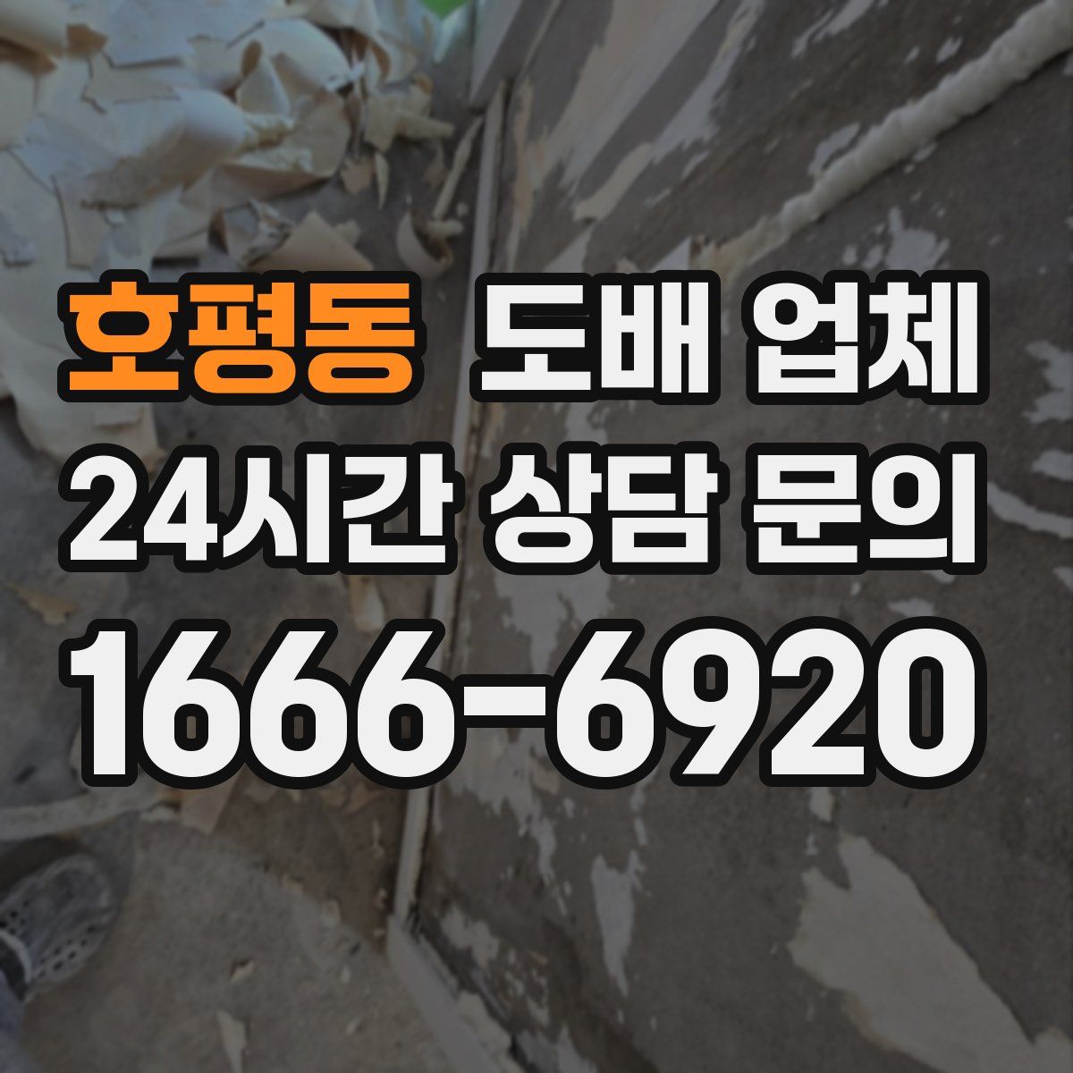 호평동 도배 업체