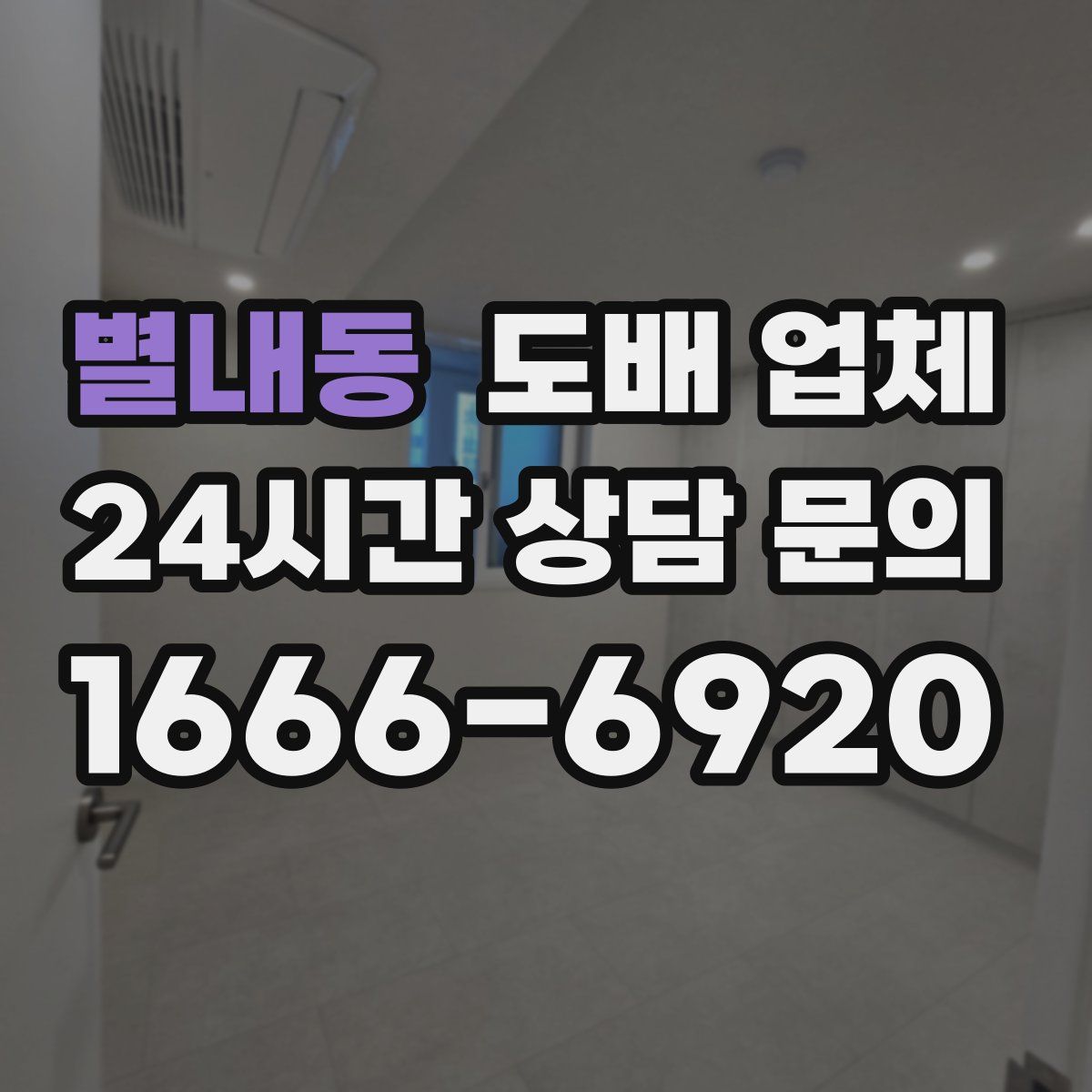 별내동 도배 업체